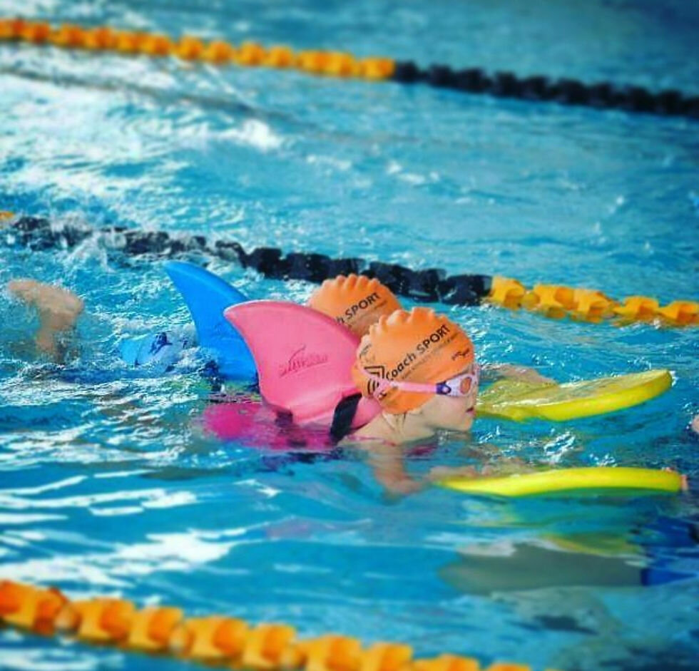 Sports club Coach Sport, Dubai, photo