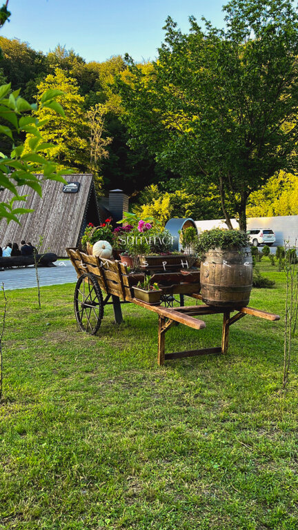 Фото Альпина парк