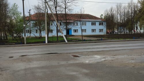 Гостиница Гостиница, Липецкая область, фото