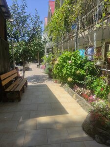 ��������� - ������� ���