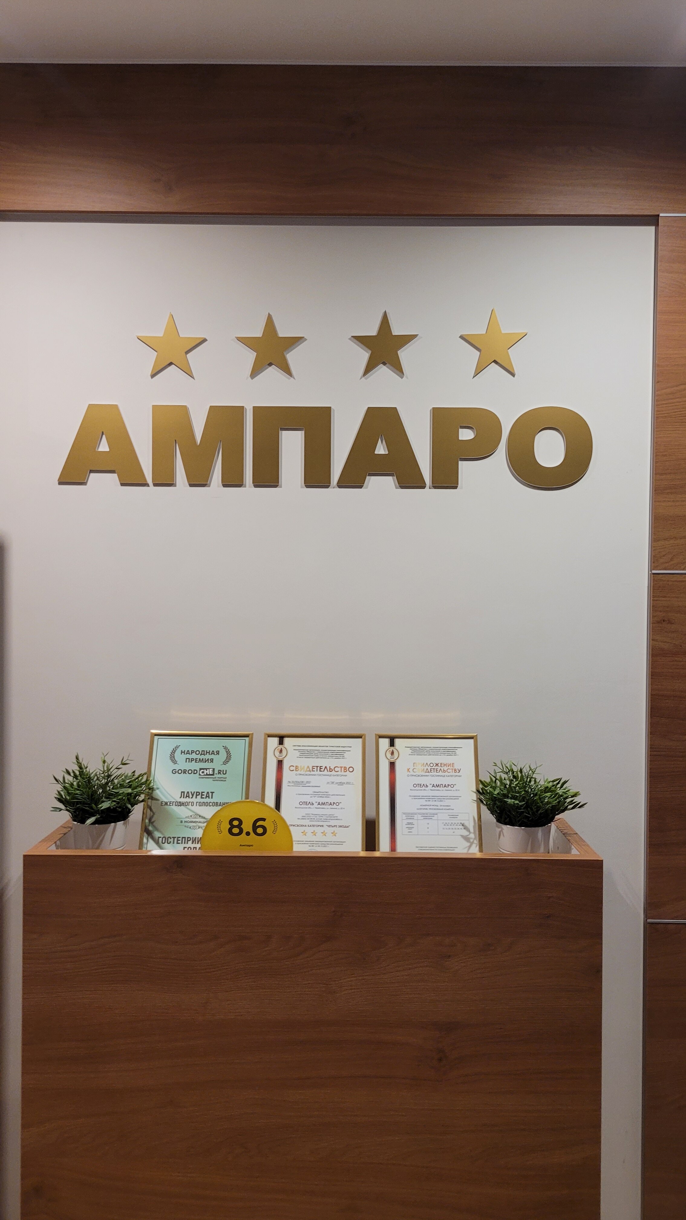 Фото Ампаро