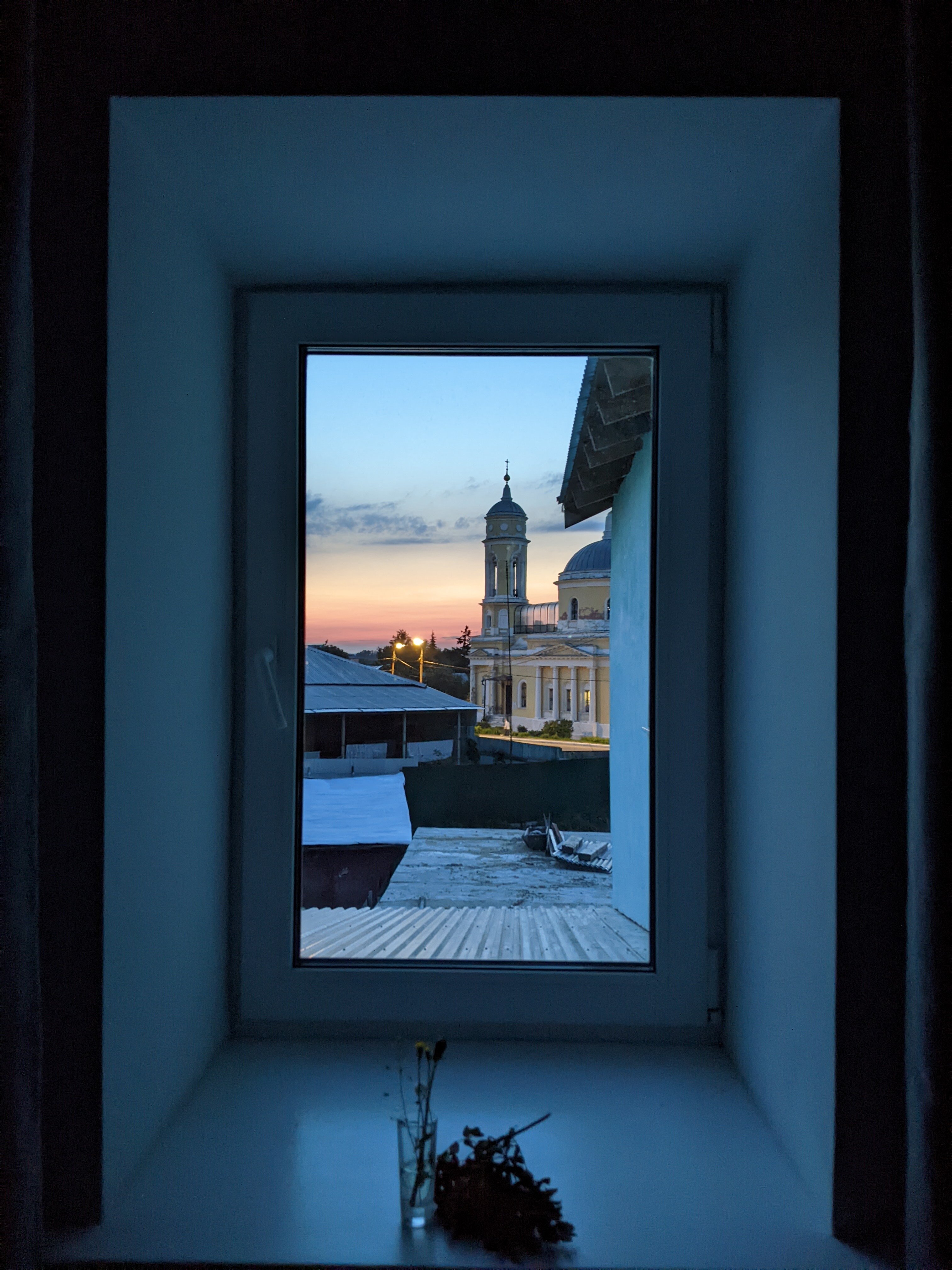 Фото  Гнездо