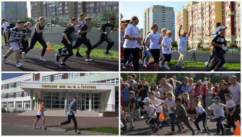 Гимназия 40 Калининград 