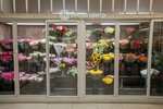 Флора центр (ул. Сакко и Ванцетти, 50А), магазин цветов во Владимире