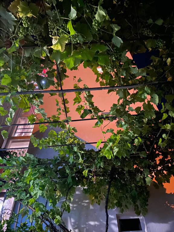 Фото Роза ветров