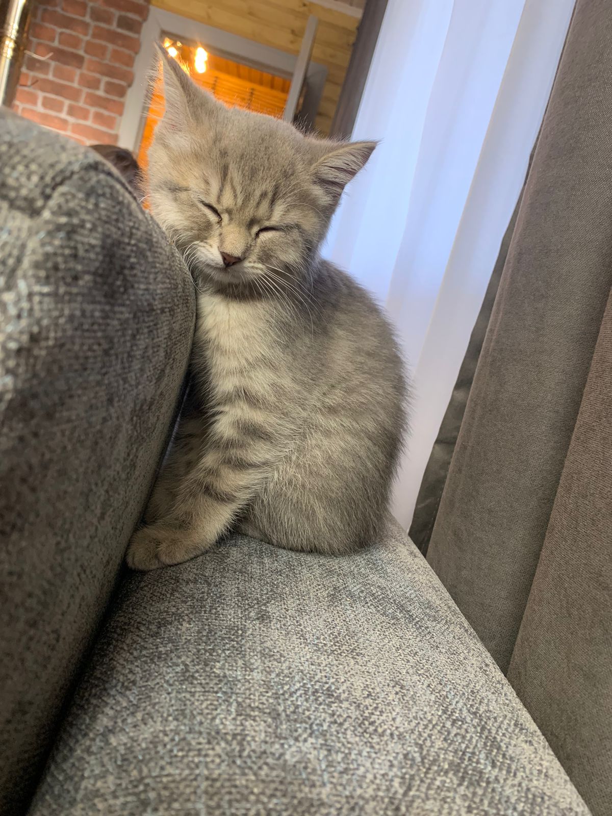 Фото Madisson RoDina