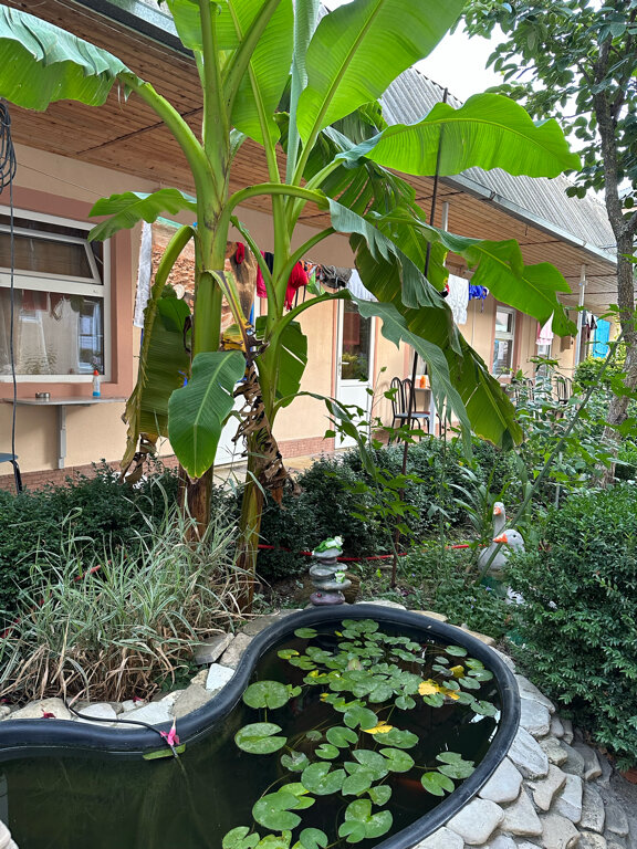 Фото Виктория