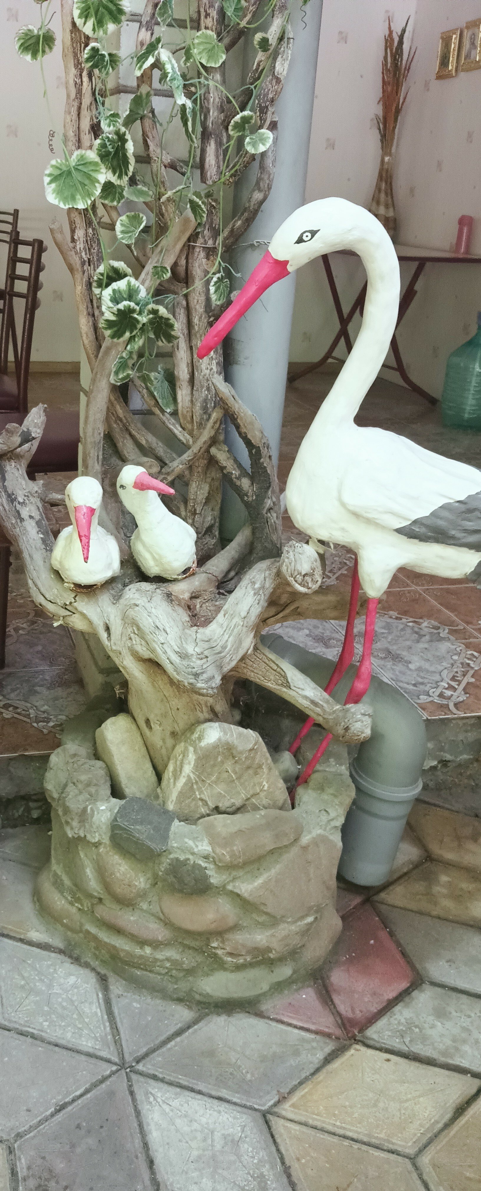 Фото Черноморская лоза