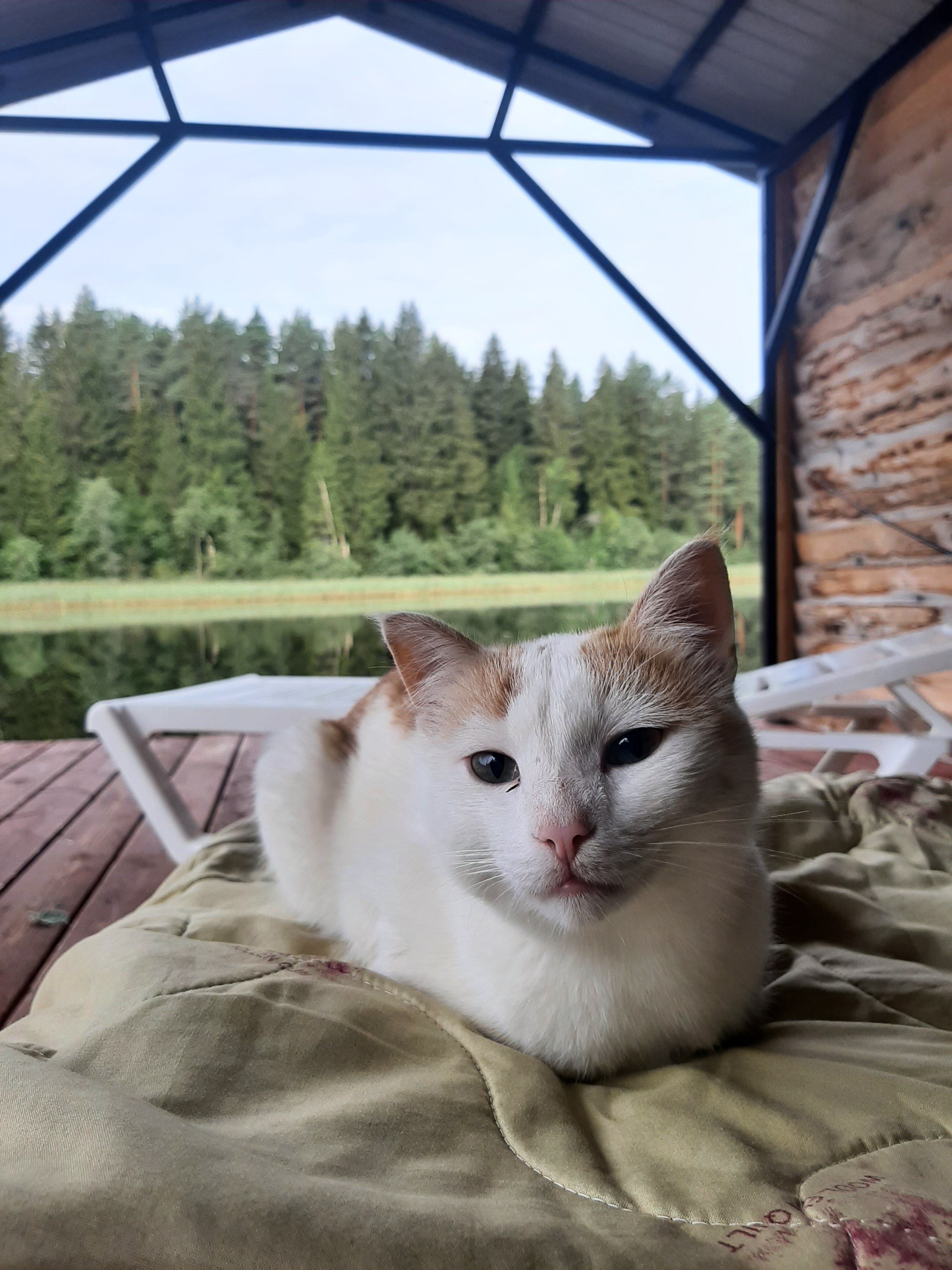 Фото Озерява