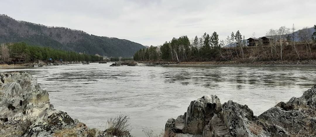 Фото Кедровый остров