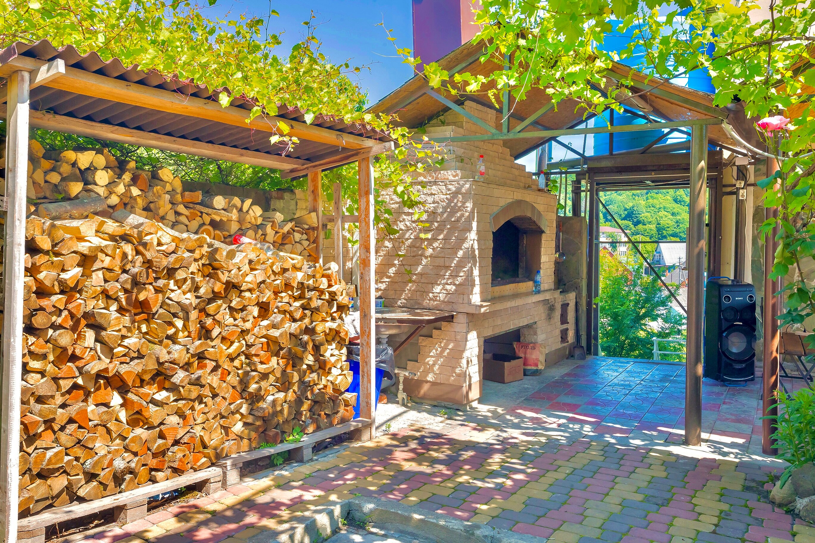 Фото Дельфин