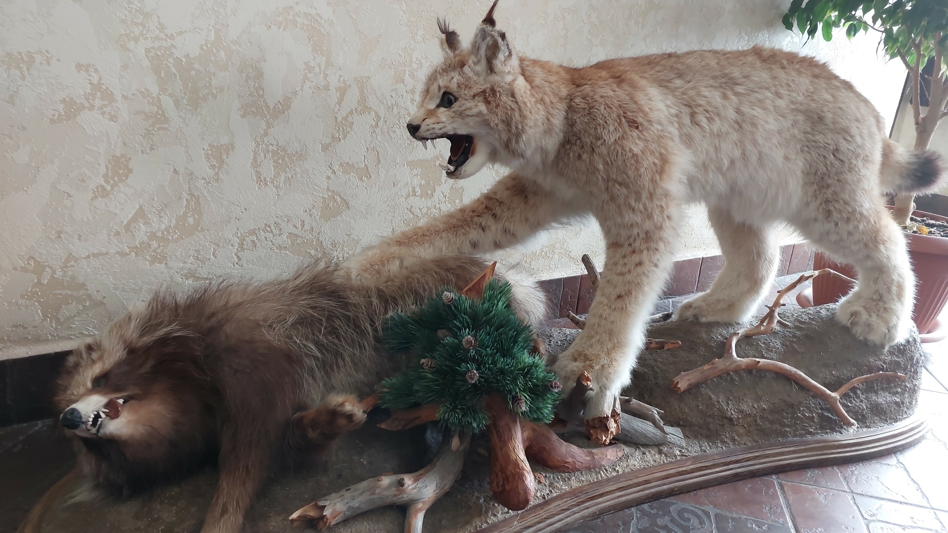 Фото Гостиница Курилотрансавто