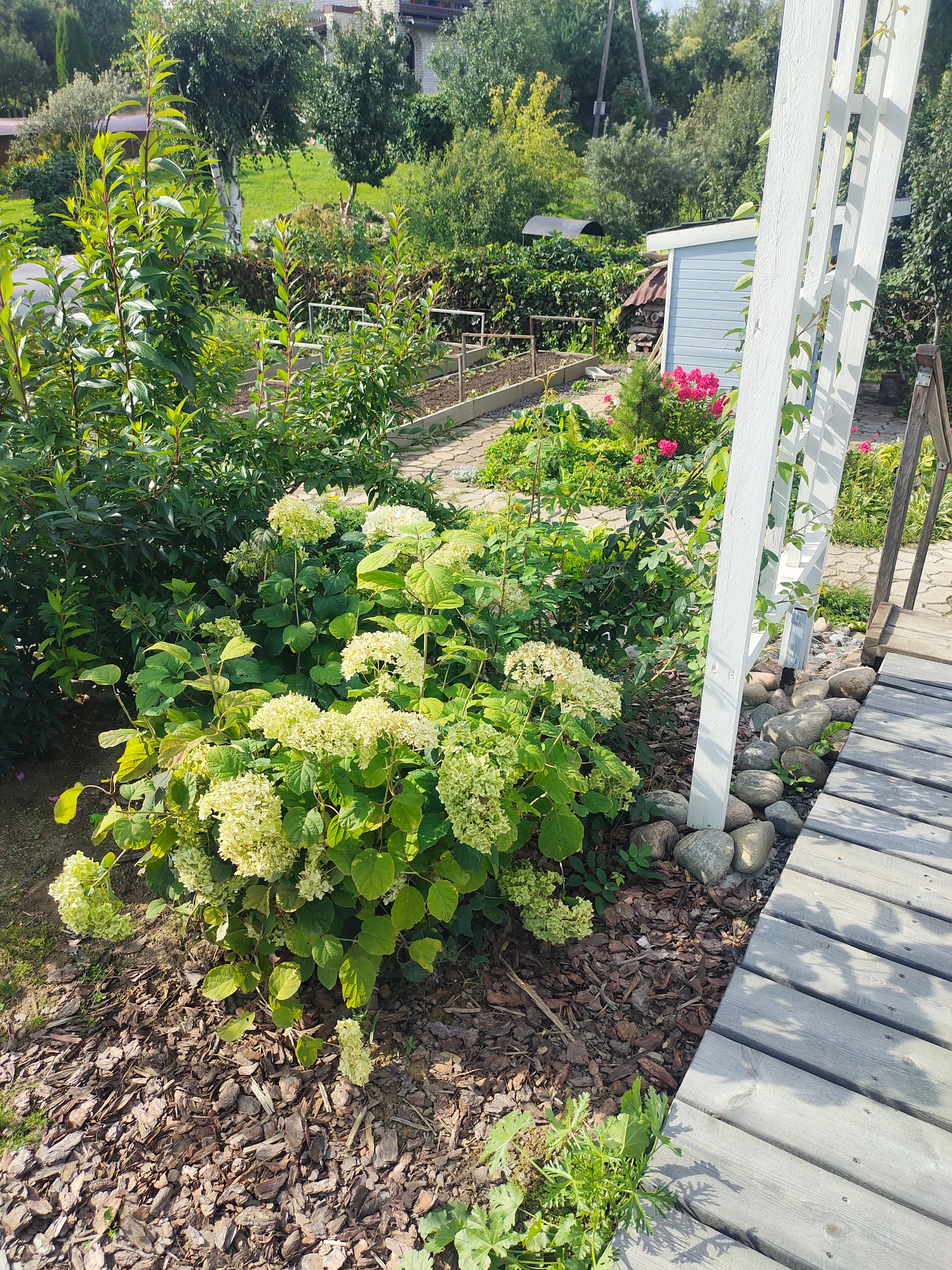 Фото Уютный Домик