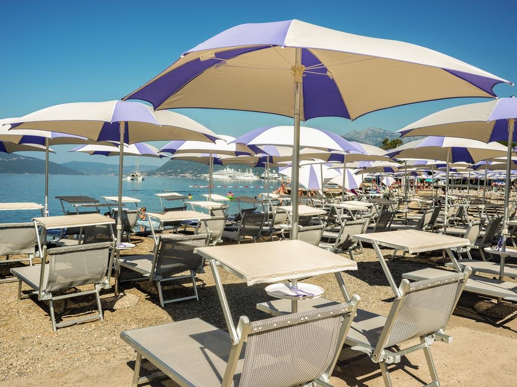 Фото Пальма