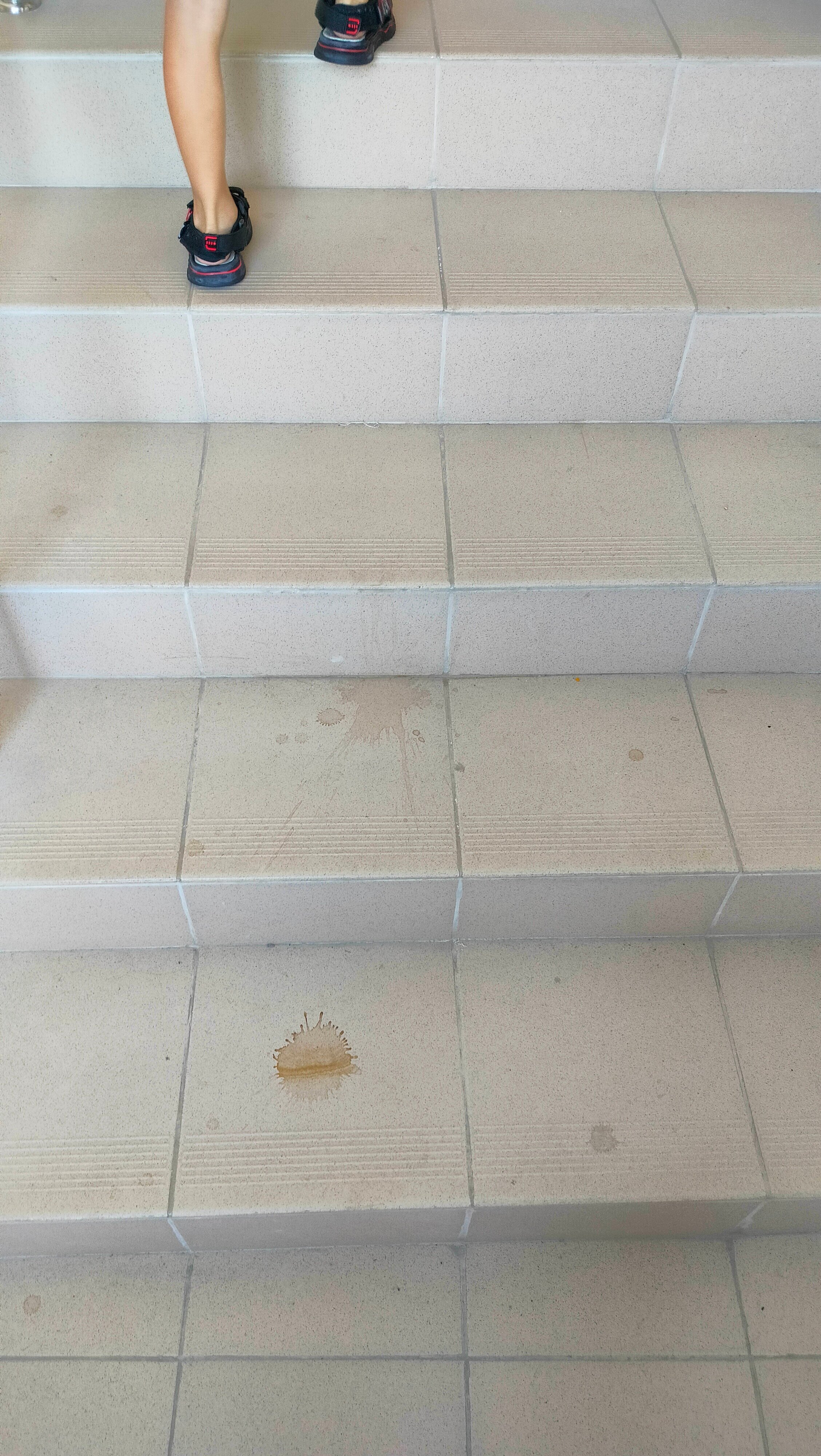 Фото Монако