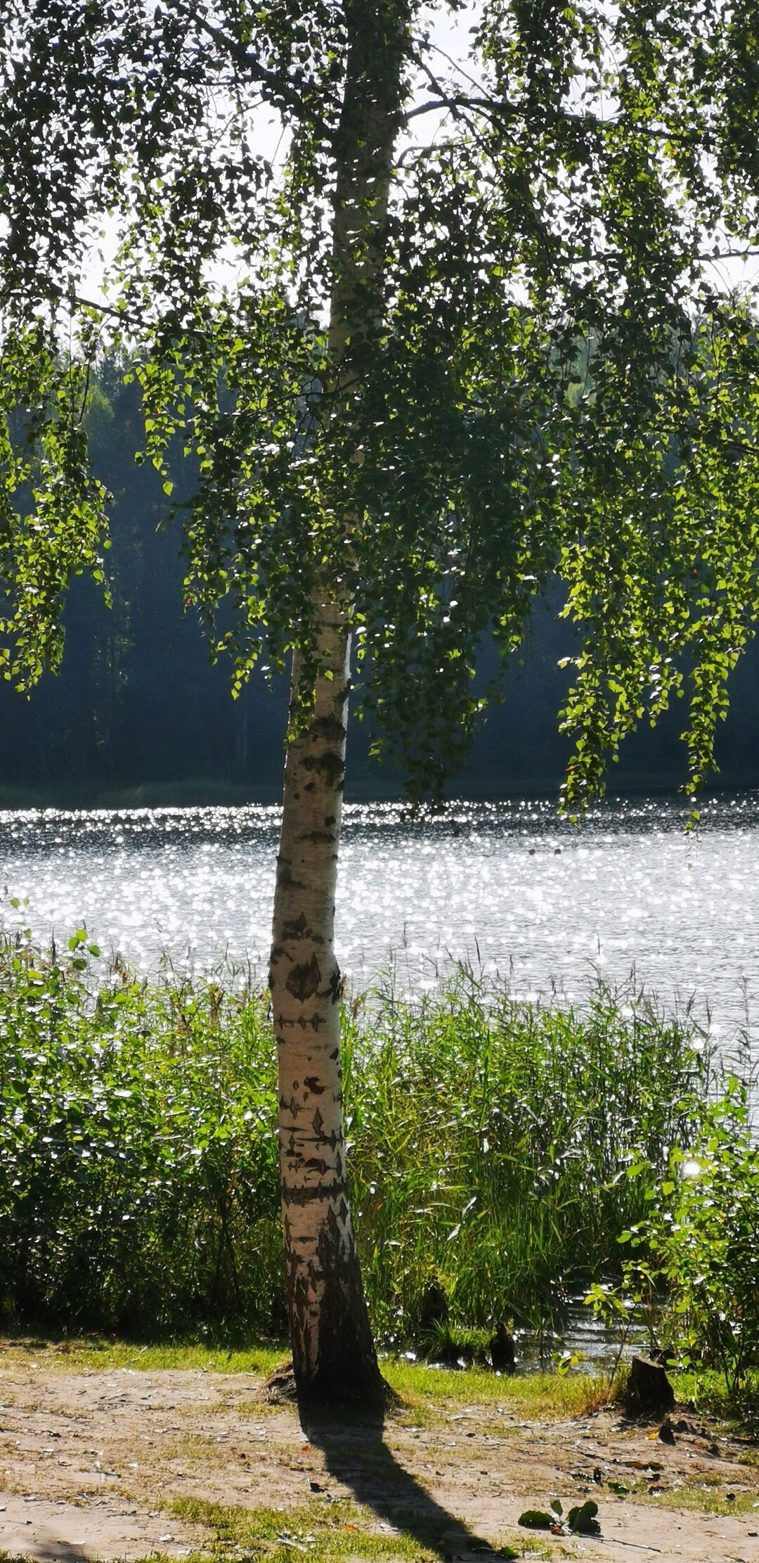 Фото Святогор