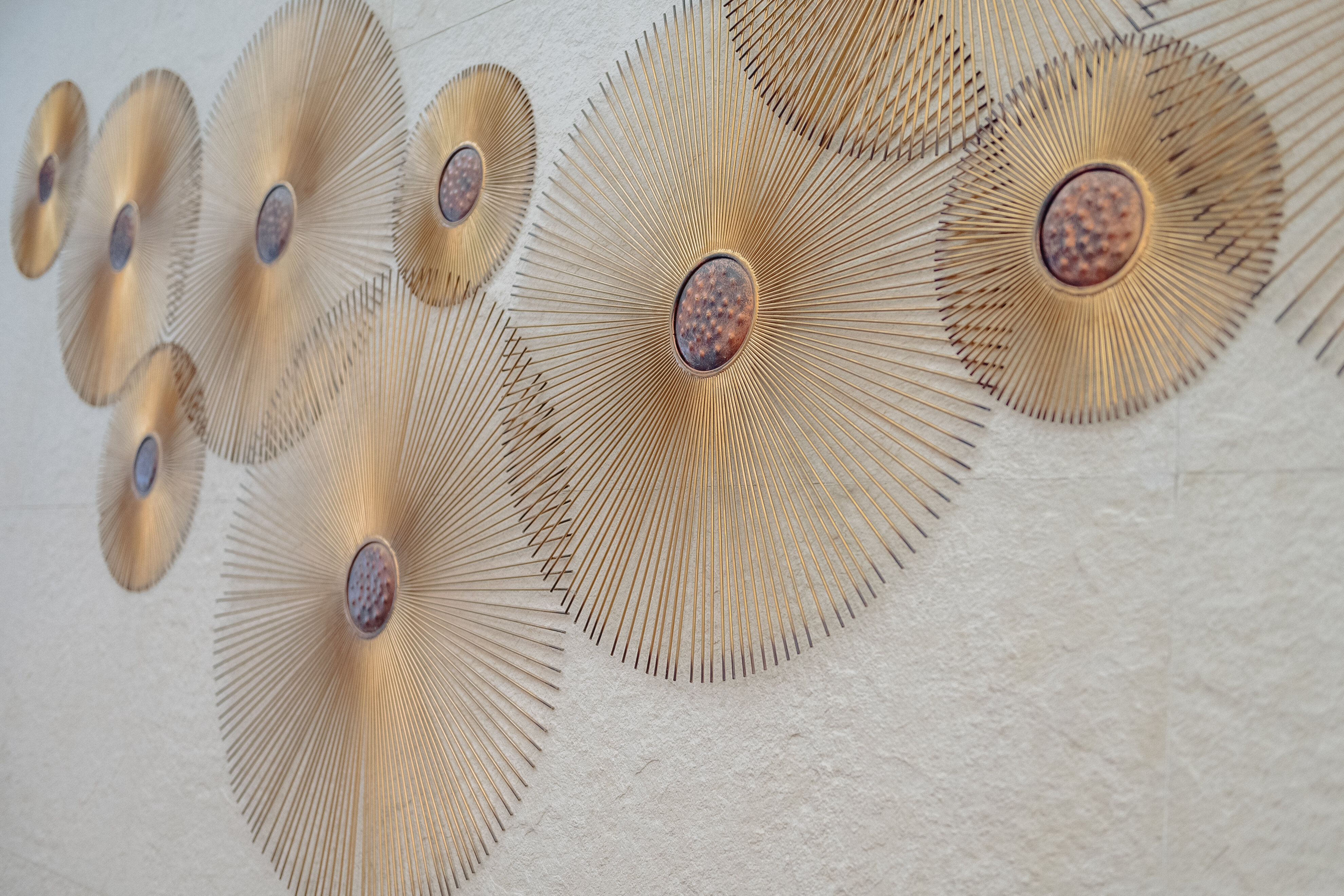 Фото Сагаан Морин