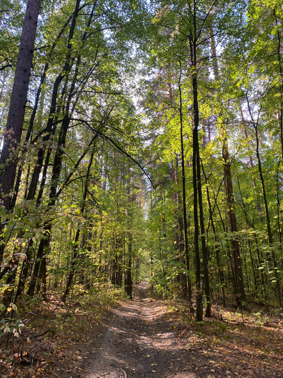 Фото Монте-Карло