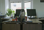 Fortuna (Bryanskaya Street, 2), translation agency