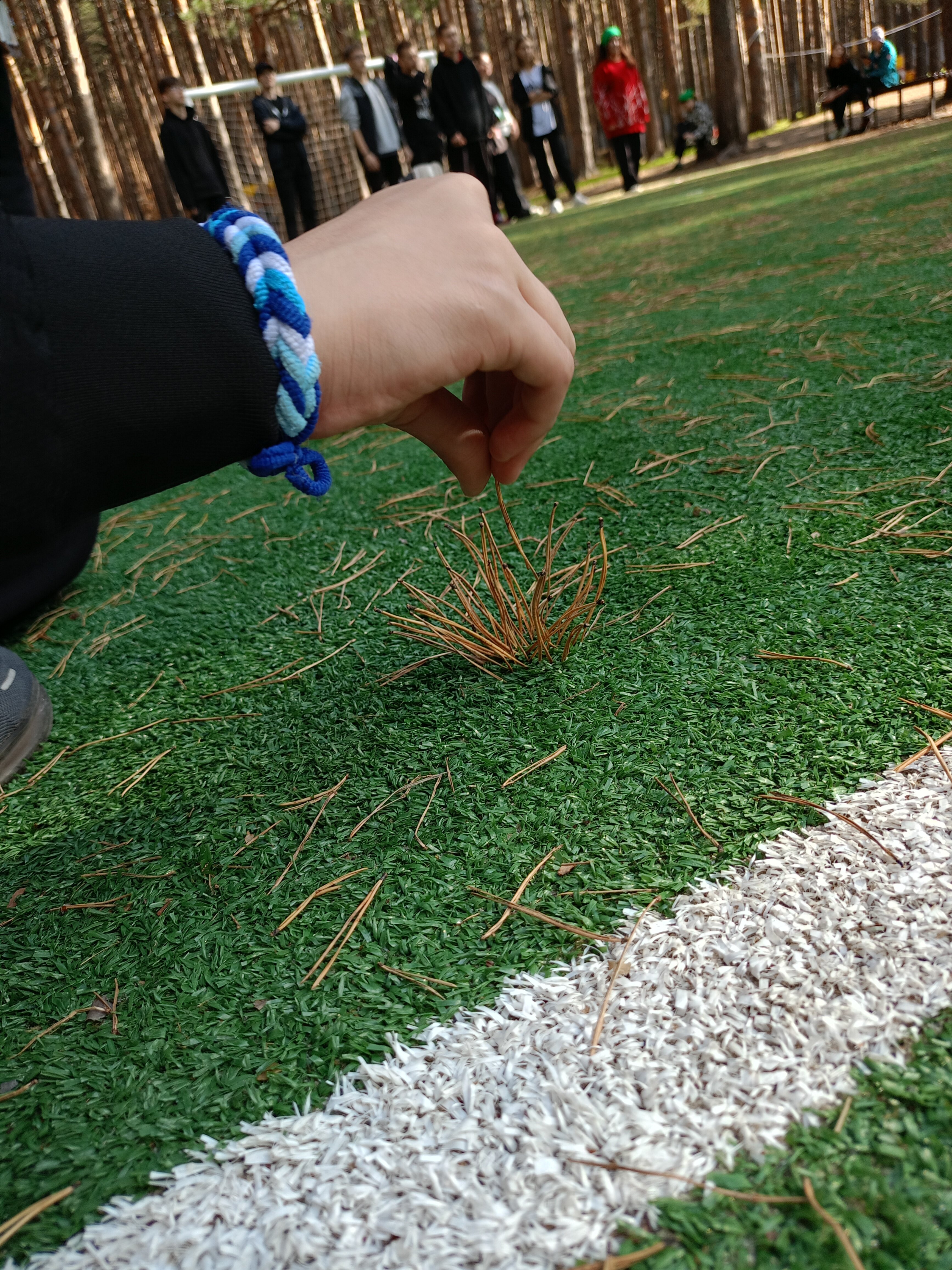 Фото Санаторий-профилакторий Дюжонок