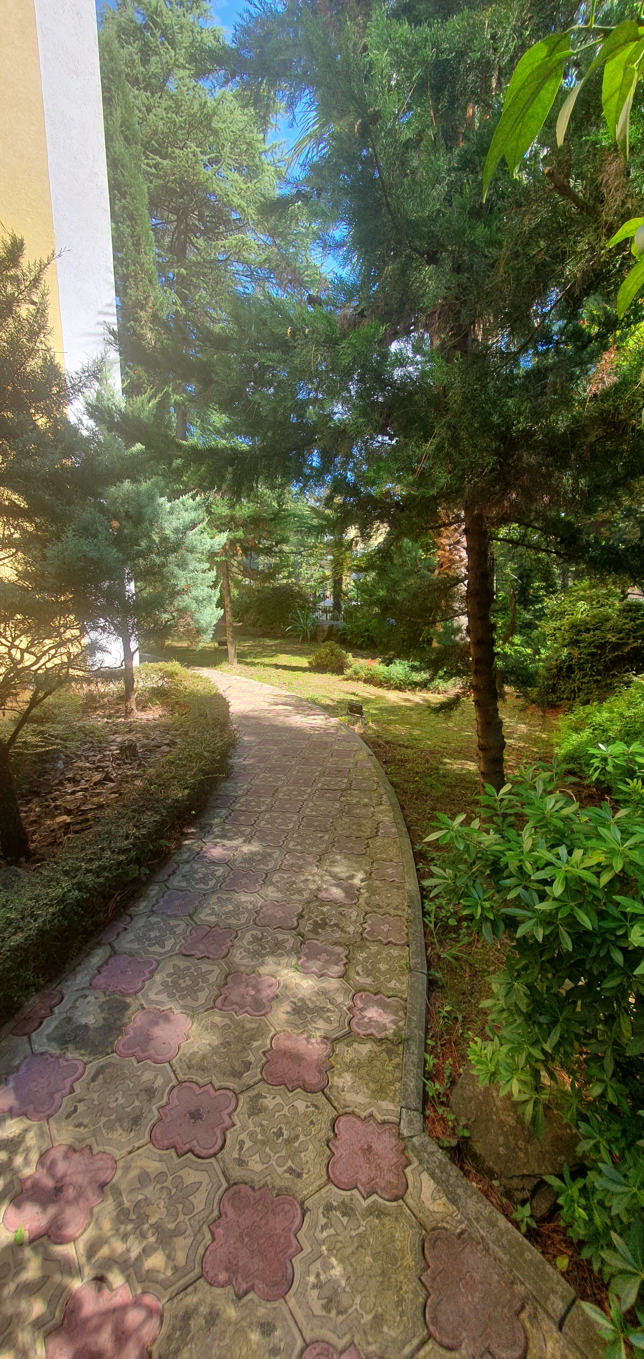 Фото Рест-Мацеста