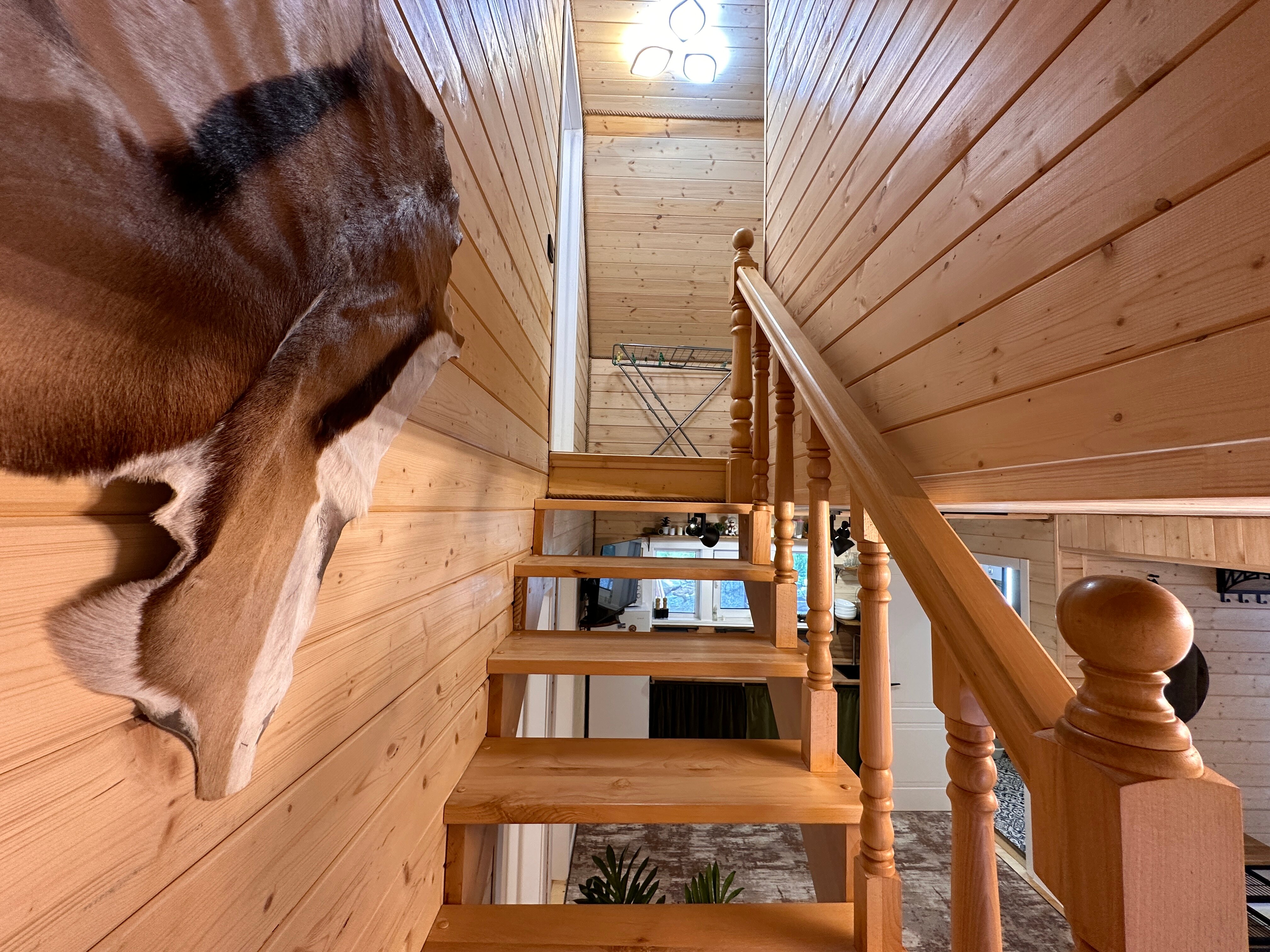 Фото У друзей