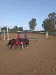 Конно-спортивная секция МОУ ДОД ДООСЦ (1-ya Bolotnaya ulitsa, 51В) ، ركوب الخيل
