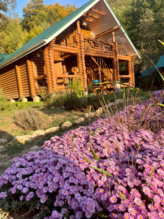 Фото Лесной