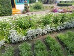 Stantsiya Yunykh Naturalistov (Parkovy pereulok, 5), club for children and teenagers