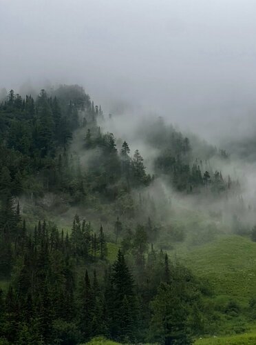 Гостиница Siberia на Мамае