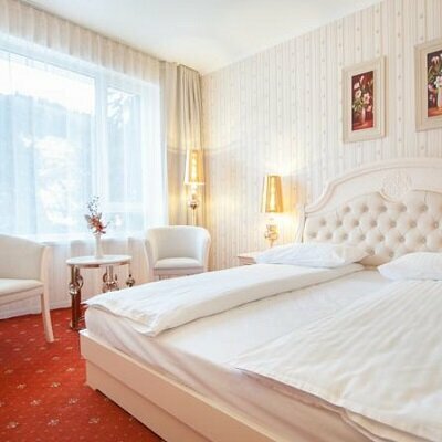 Гостиница Hotel Carpathia Sinaia