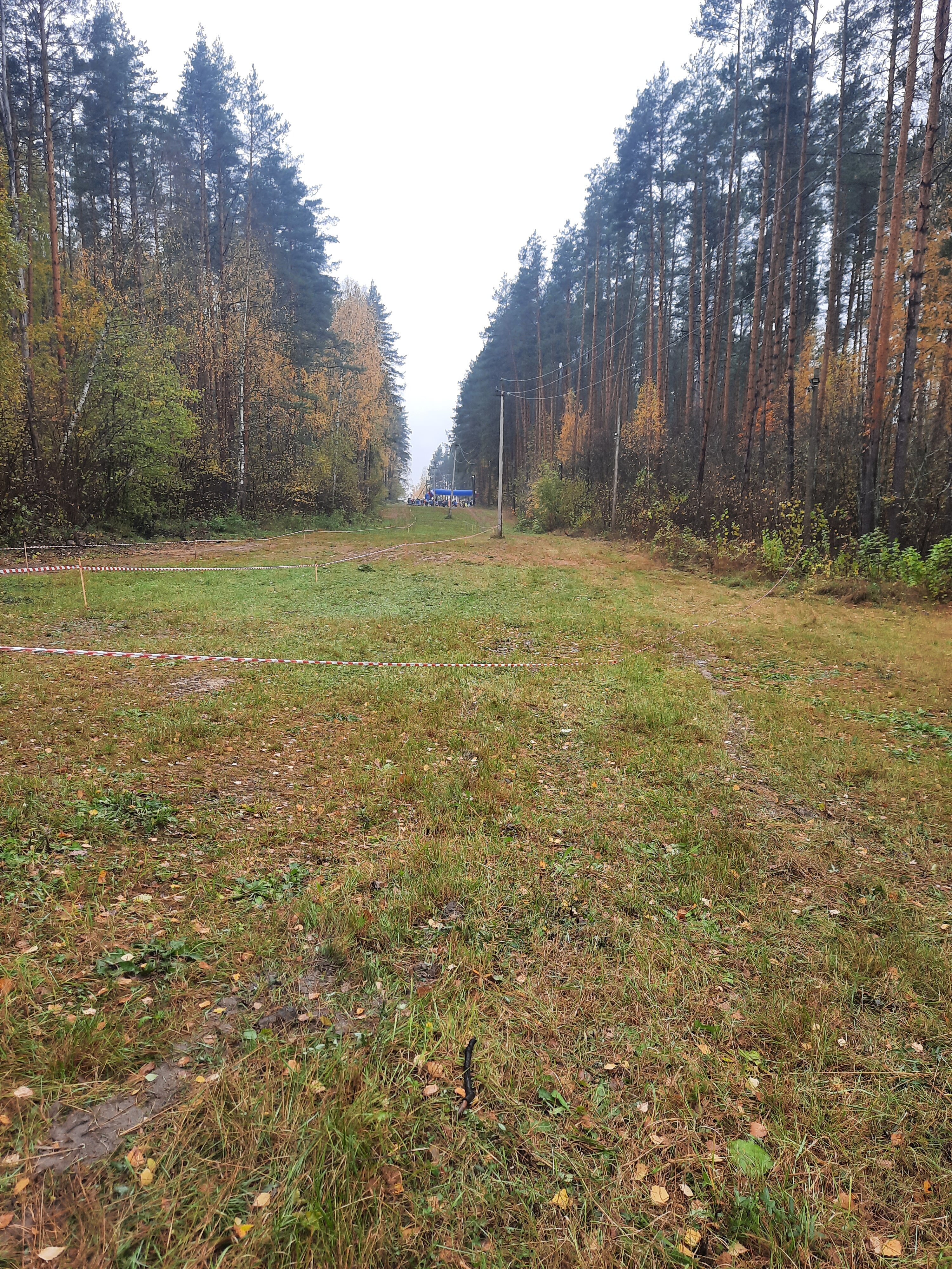 Фото Динамо