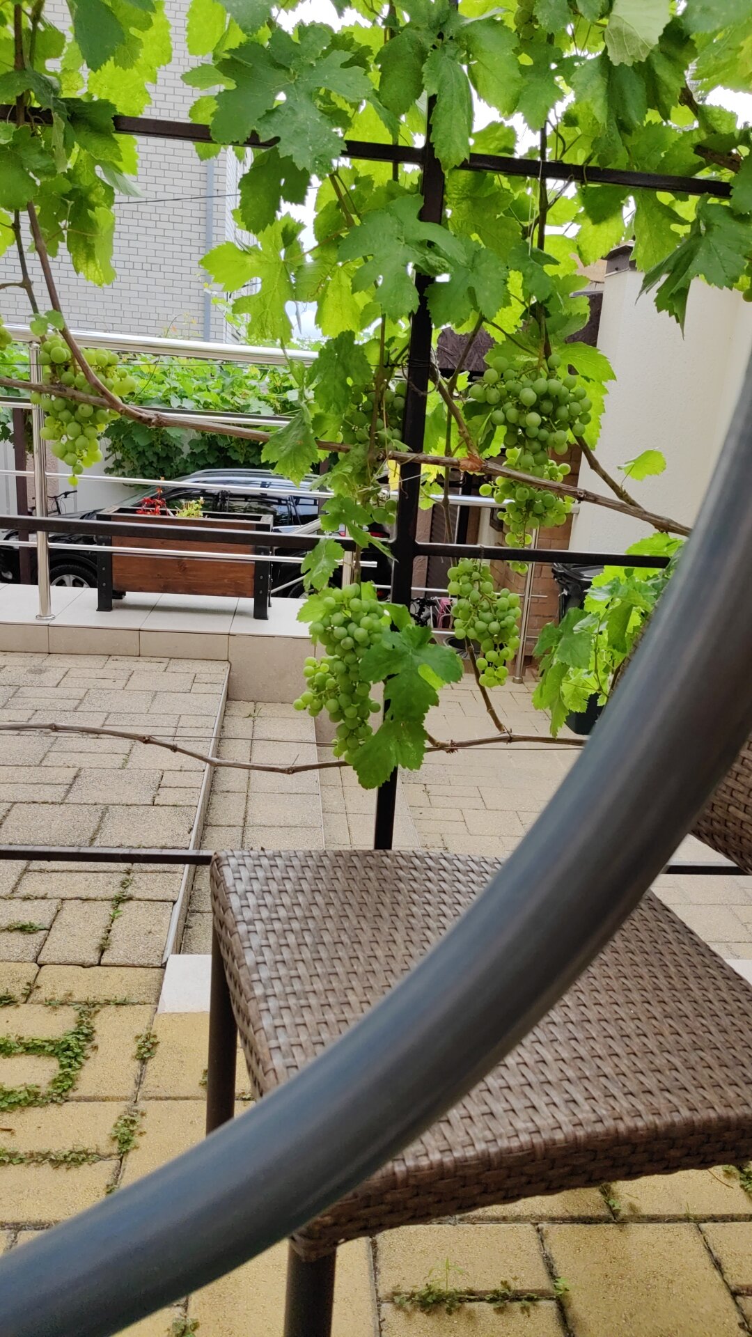 Фото Цветочный рай