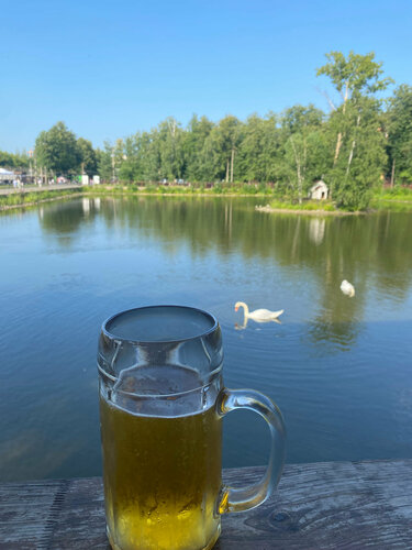 Тори Блэктің ең үлкен мүшесі бар