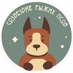 Созвездие Рыжих Псов (ул. Ленина, 2), зооцентр, клуб любителей животных в Острове