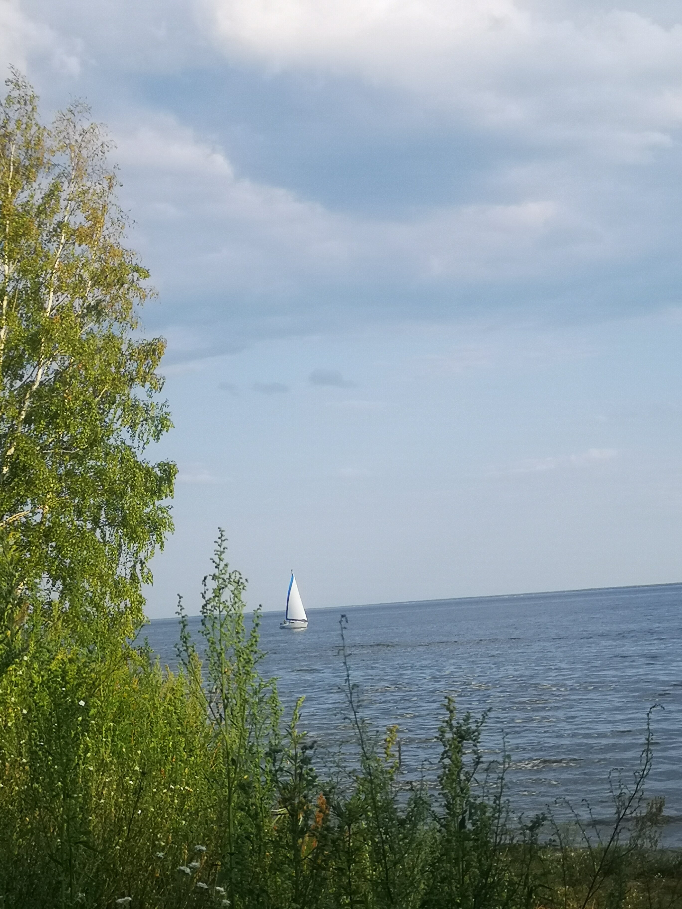 Фото Горы Море House