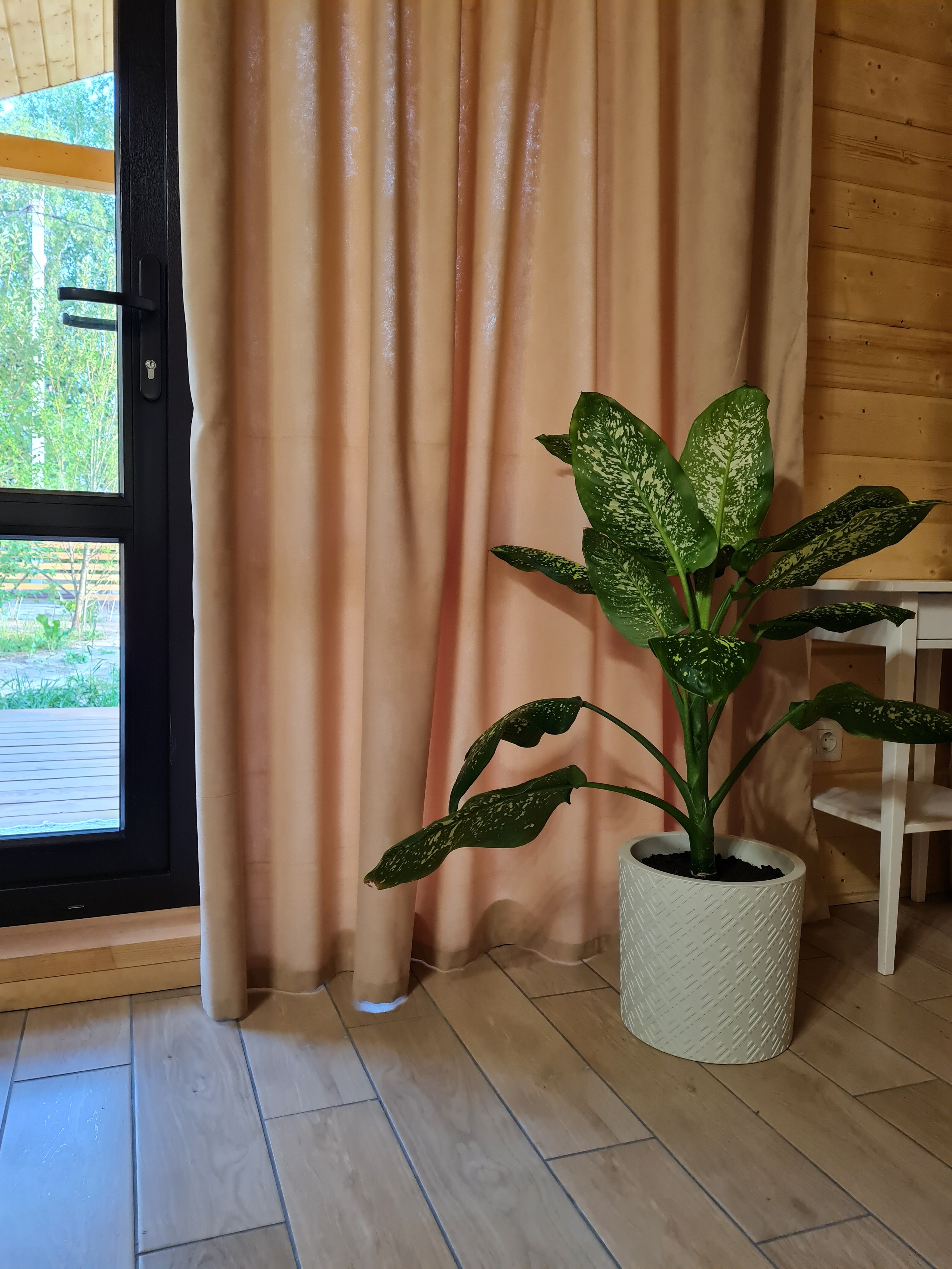 Фото Наше место