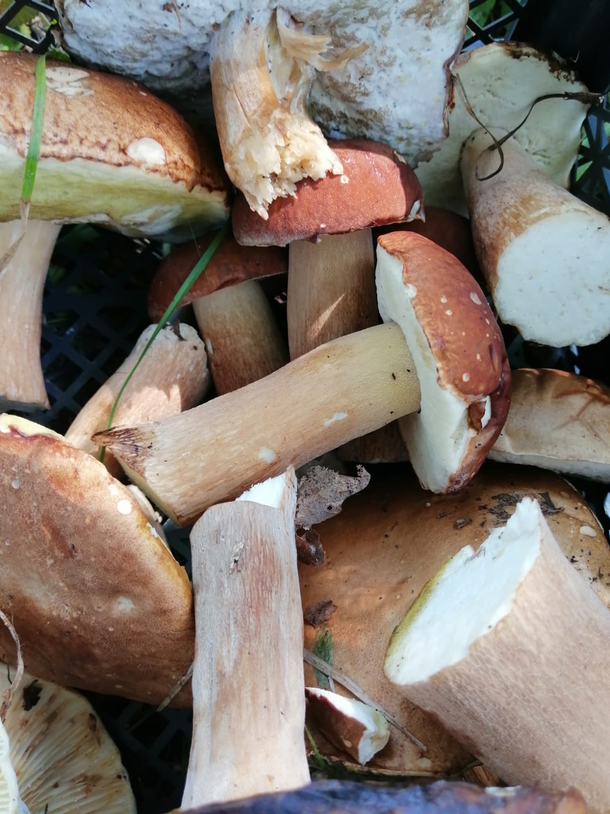 Фото Хуторок