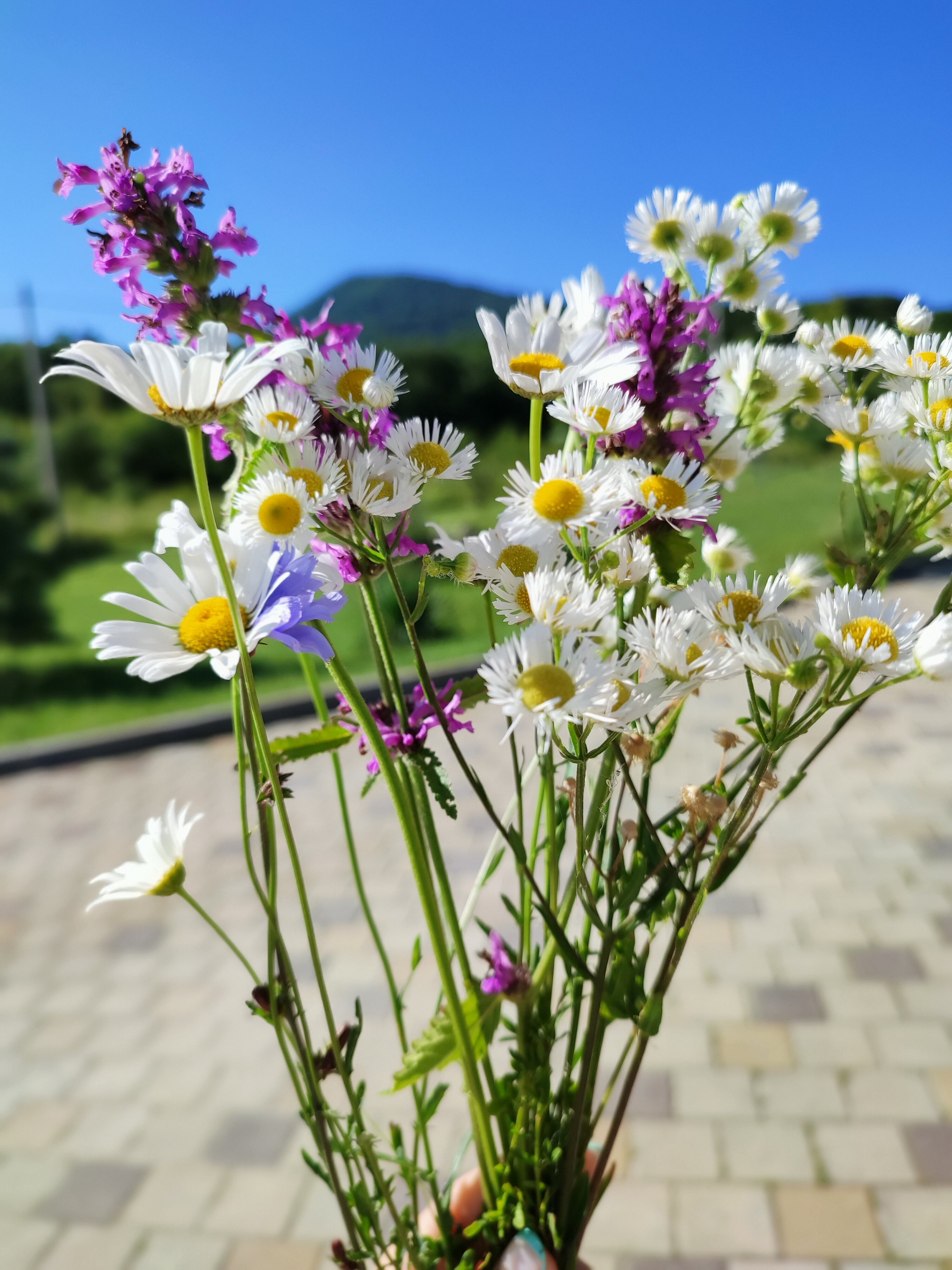 Фото Горная Слобода
