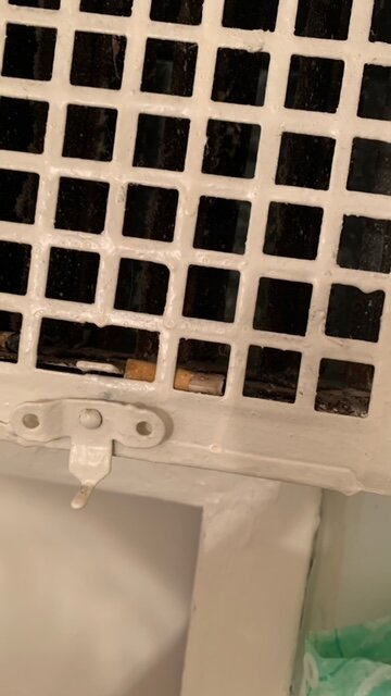 Фото Протва