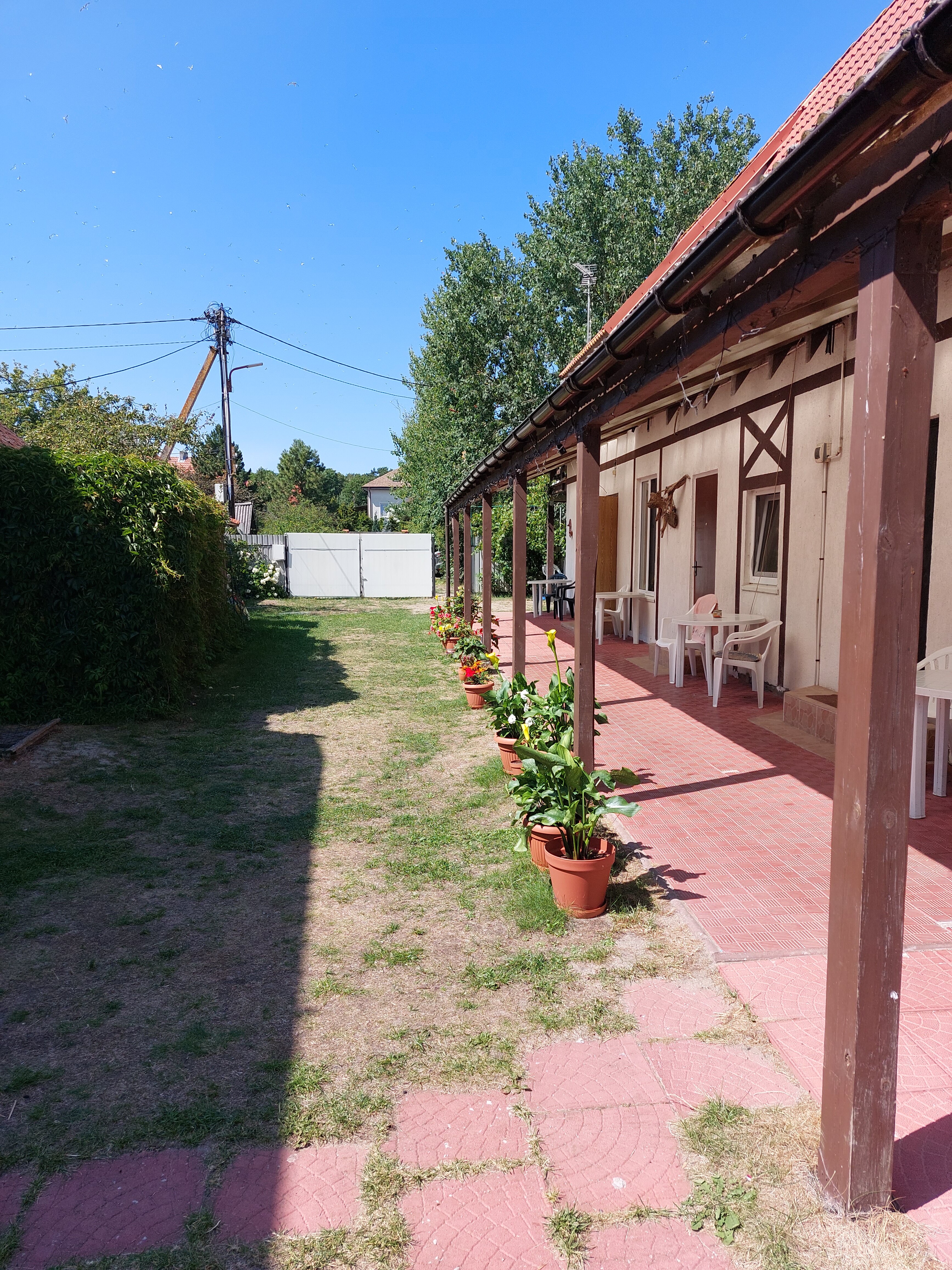 Фото Отдых на Куршской косе