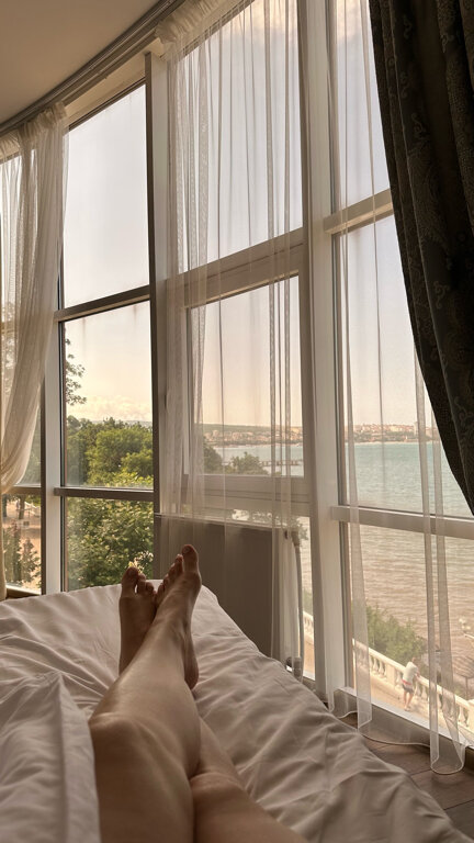 Фото Магнолия