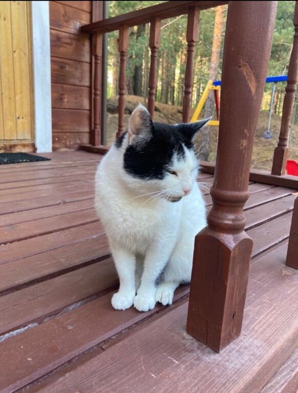 Фото Усадьба на Шамокше