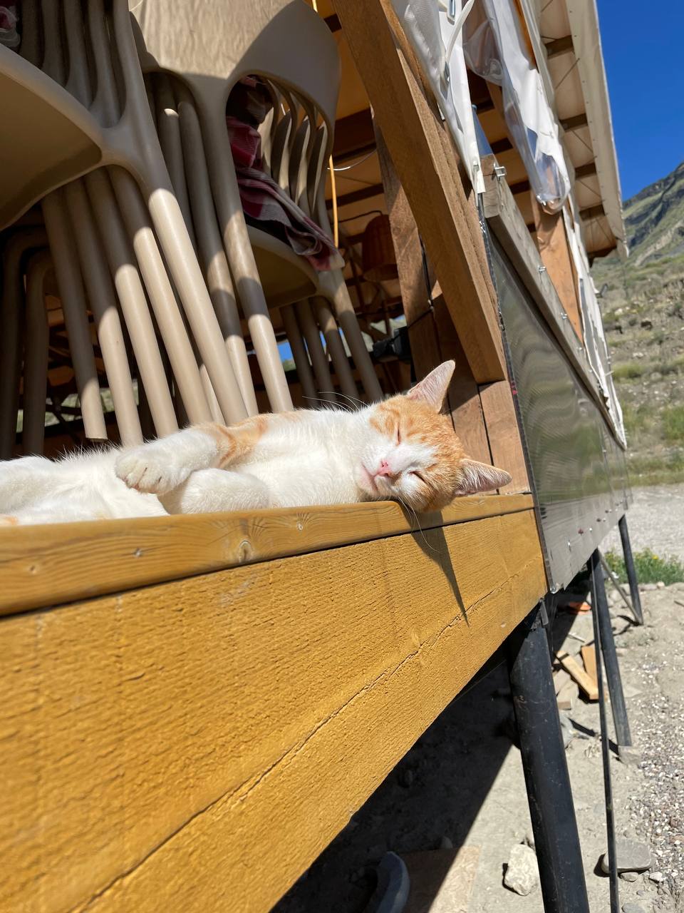 Фото Горный Ветер