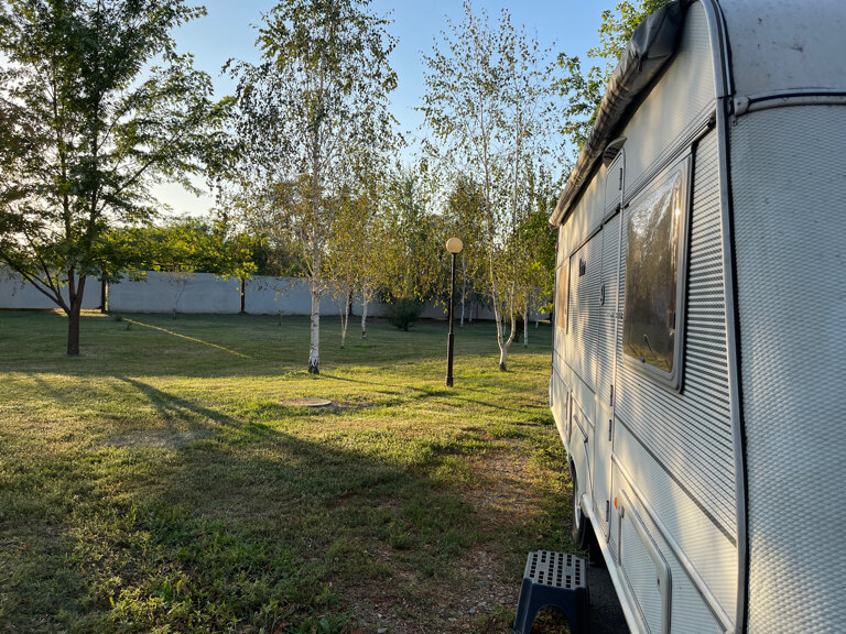 Фото Лесная нимфа