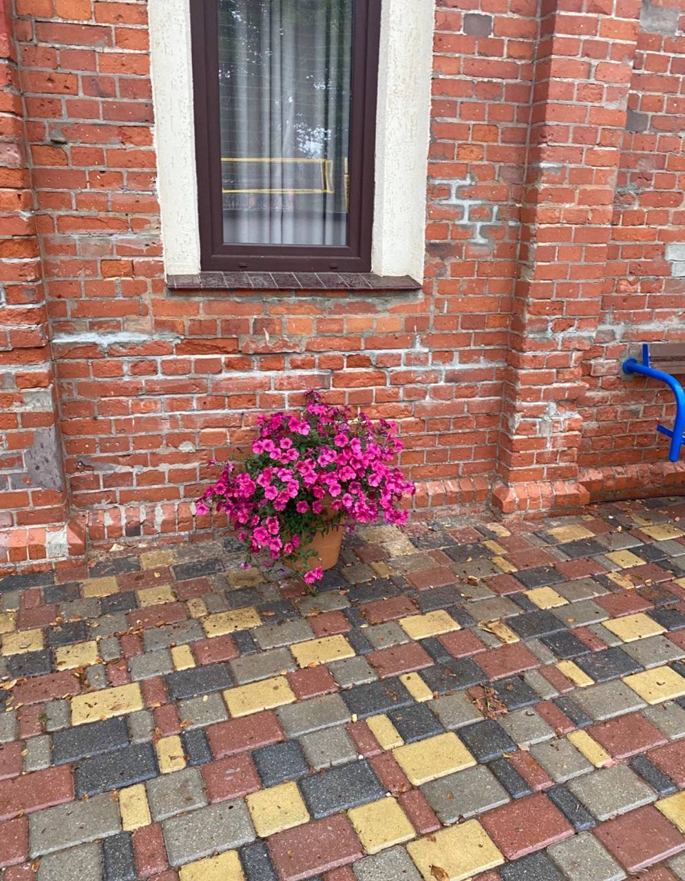 Фото Золотые пески