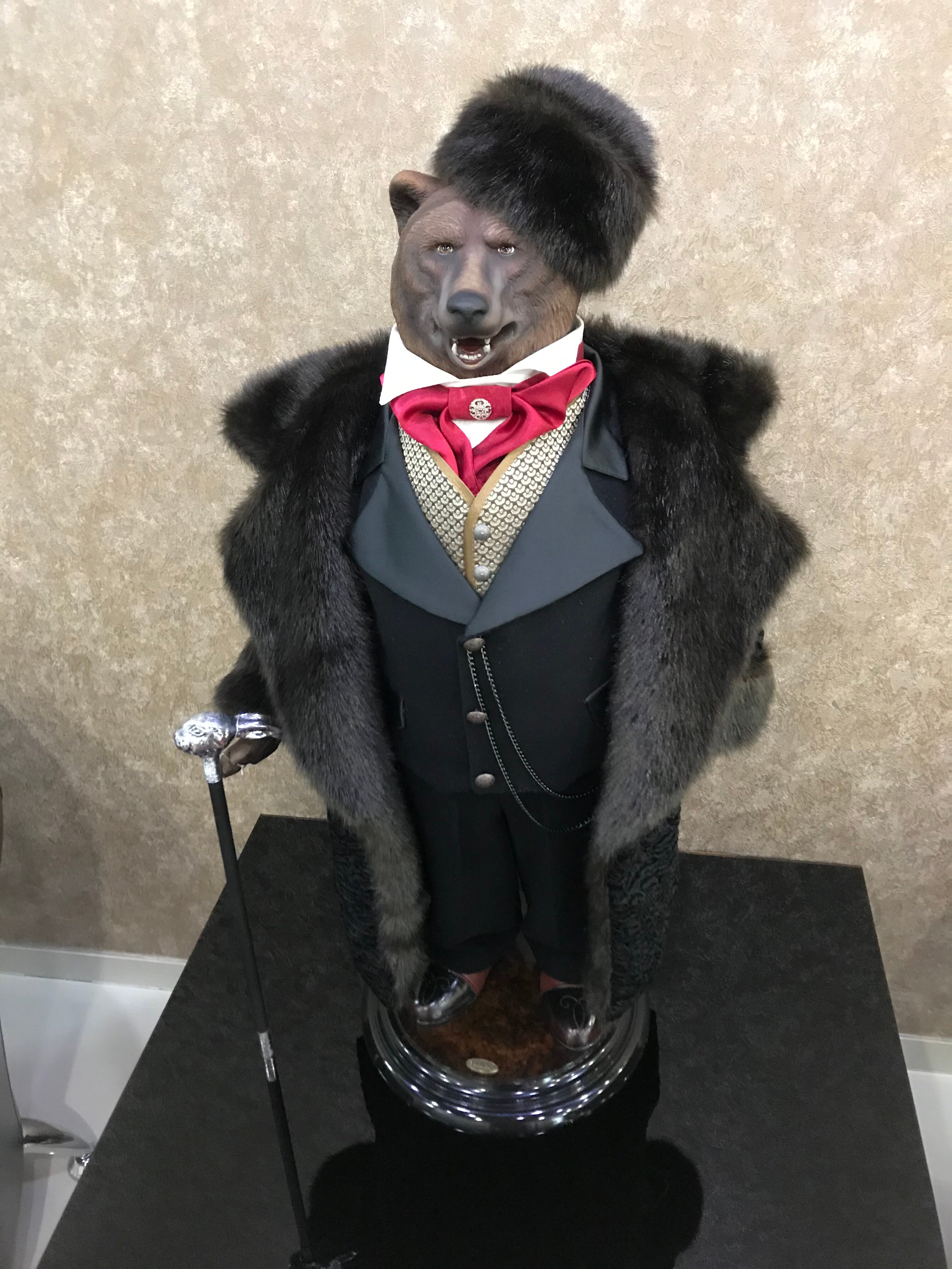 Фото Континент