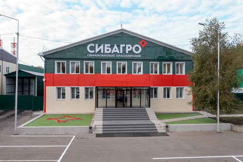 Орыс шұлықтағы топтық порно