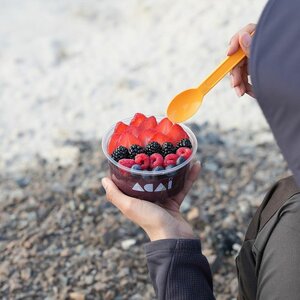 Acai Hub Superfood Cafe (139F, Al Corniche Street, Al Khaldia, Khor Fakkan, Sharjah), restaurant