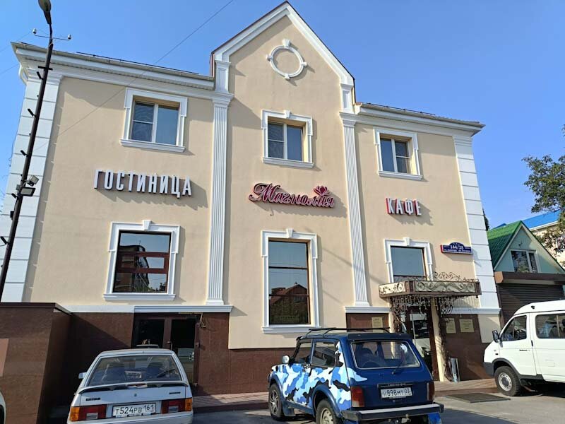 Фото Магнолия